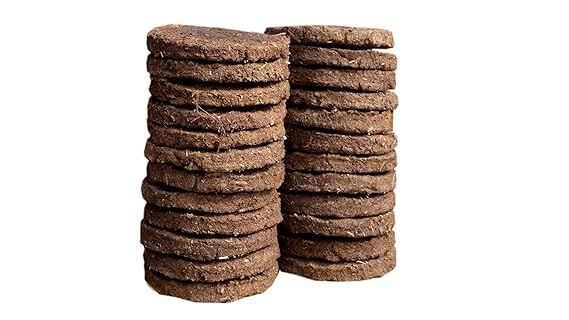 Divine Bija Cow Dung Cakes | Viratti Divine Bija India Pvt Ltd | A story of motivation, passion and unconditional commitment