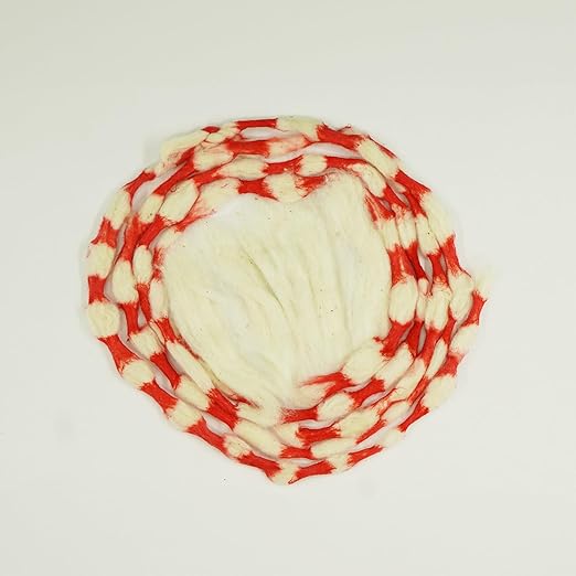 Divine Bija Gaja Vastram / God Vastram Divine Bija India Pvt Ltd | A story of motivation, passion and unconditional commitment