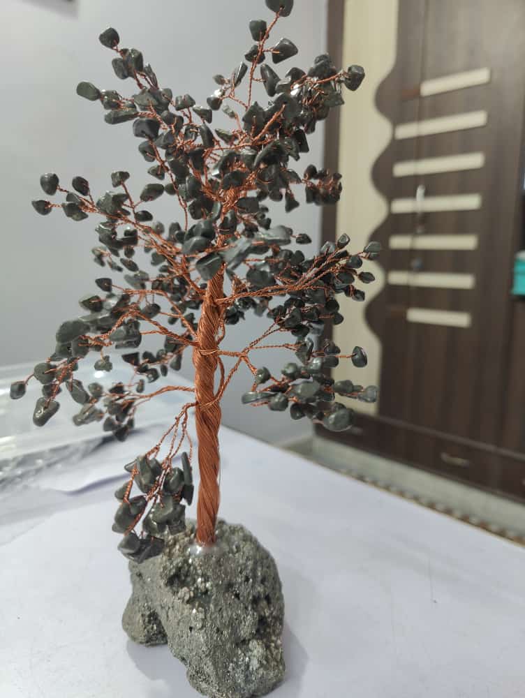 Divine Bija Green Jade Wealth Tree Divine Bija India Pvt Ltd | A story of motivation, passion and unconditional commitment
