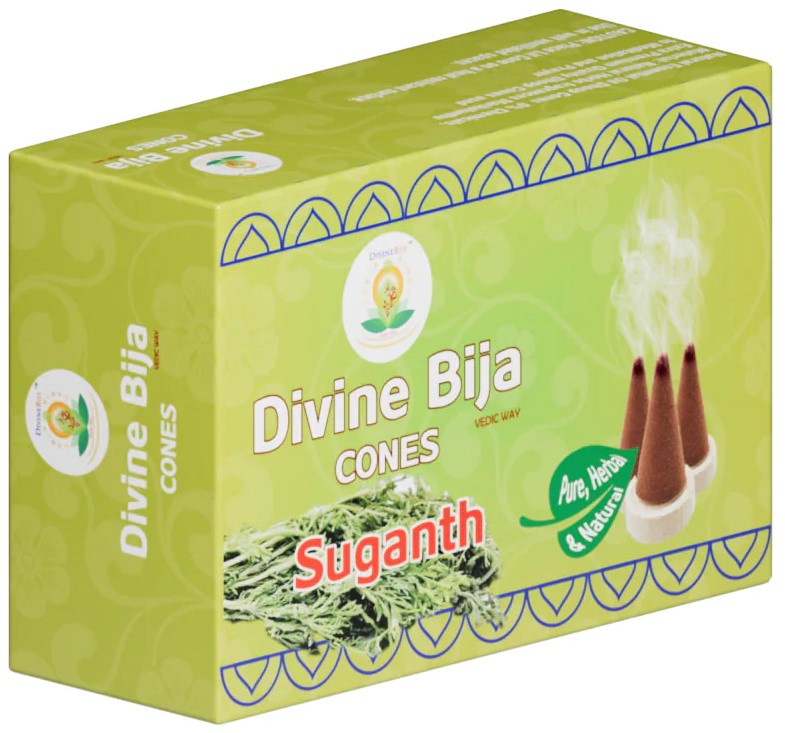Divine Bija Incense Dhoop Cones | Sugandh | Id184 #185/470