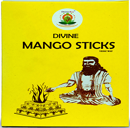 Divine Bija Mango Sticks for Havan Divine Bija India Pvt Ltd | A story of motivation, passion and unconditional commitment