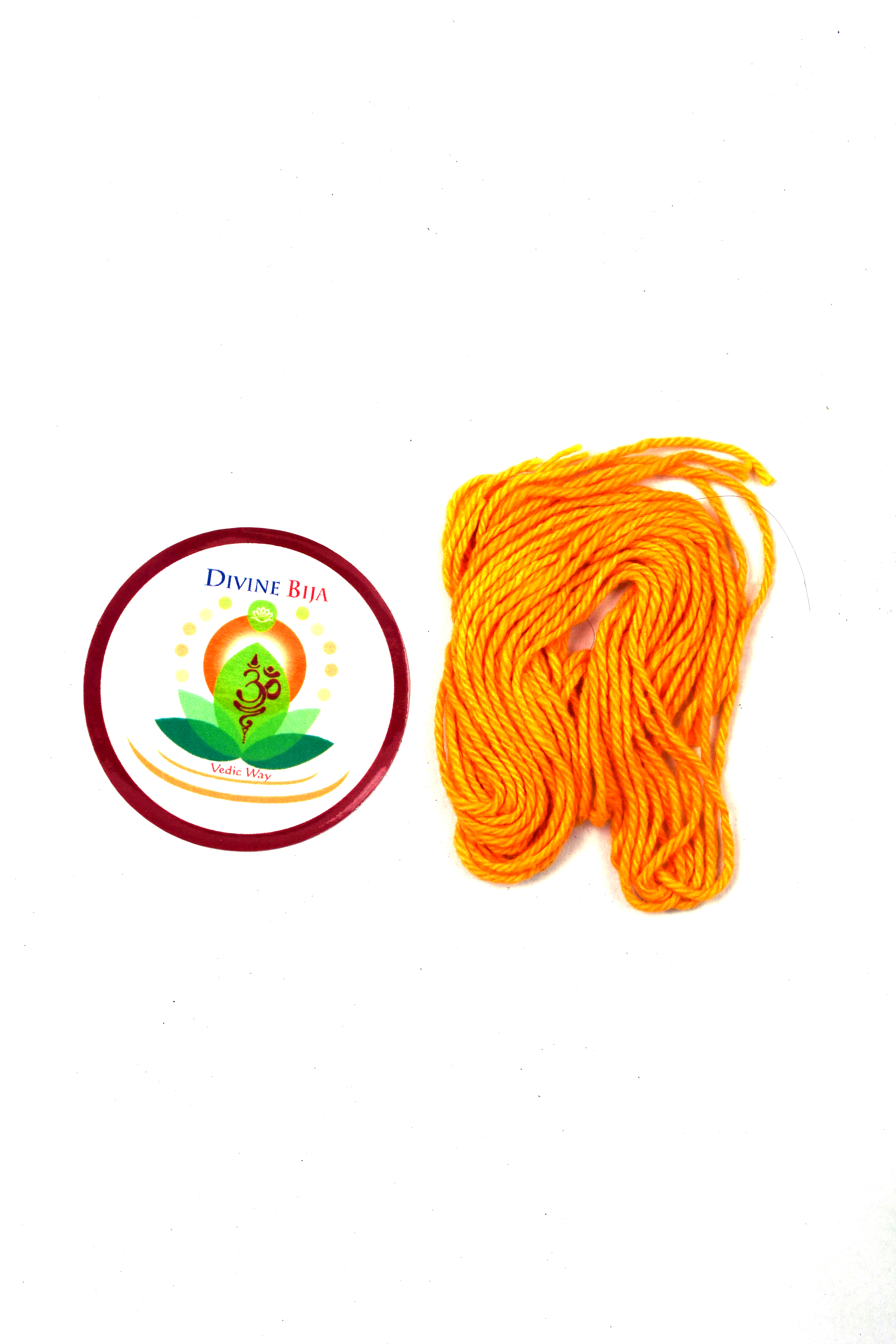 Divine Bija Nonbu Saradu Sacred Thread Divine Bija India Pvt Ltd | A story of motivation, passion and unconditional commitment