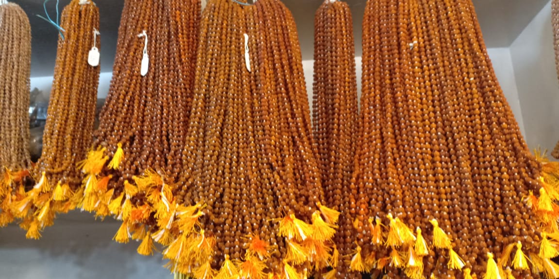 Divine Bija Pancha Mukhi | 5 Face Divine Bija India Pvt Ltd | A story of motivation, passion and unconditional commitment