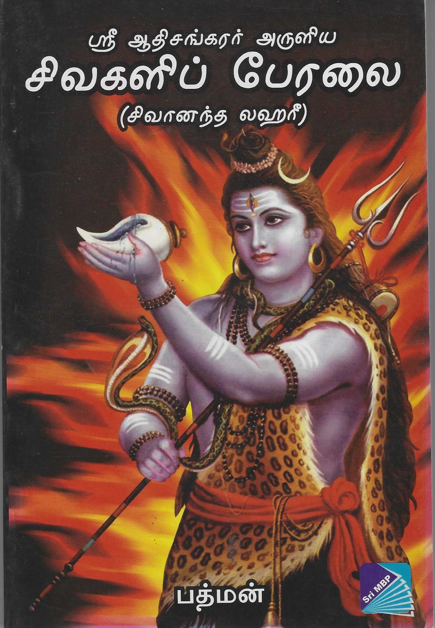 Divine Bija Sivanandha Lahari Tamil Divine Bija India Pvt Ltd | A story of motivation, passion and unconditional commitment