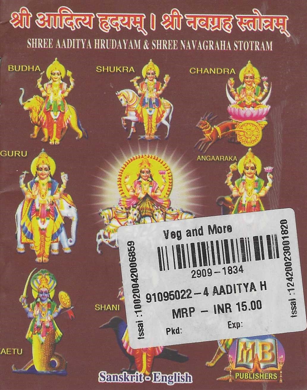 Divine Bija Sri Aaditya Hrundayam | Sri Navagraha Stotram Divine Bija India Pvt Ltd | A story of motivation, passion and unconditional commitment